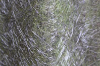 Cranbrook fibreglass roof work